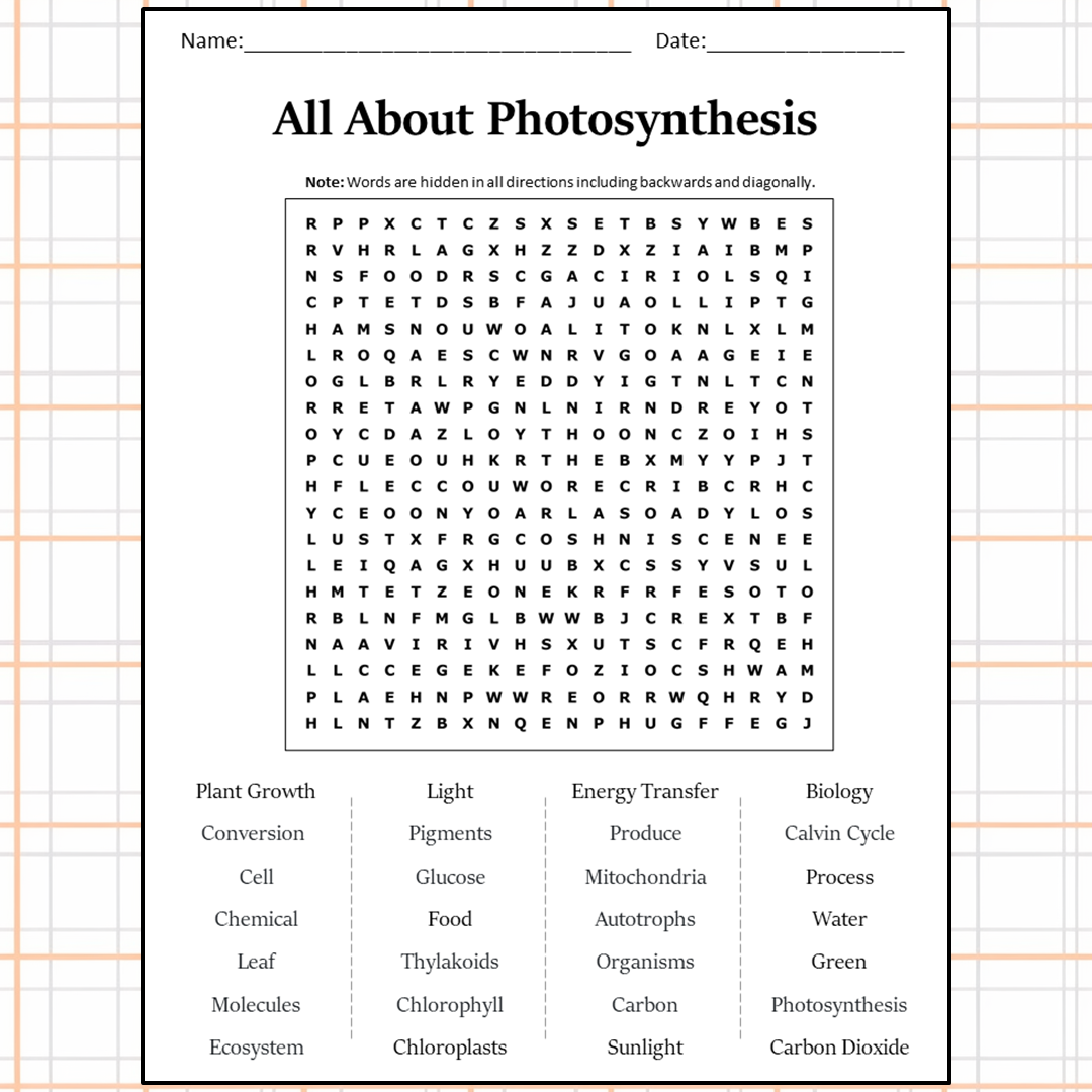 All About Photosynthesis Word Search Puzzle Worksheet Activity PDF