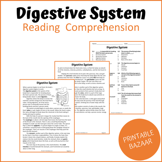 Digestive System Reading Comprehension Passage and Questions | Printable PDF