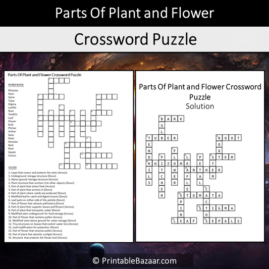 Parts Of Plant And Flower Crossword Puzzle Worksheet Activity Printable PDF