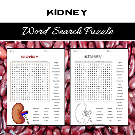 Kidney Word Search Puzzle Worksheet PDF