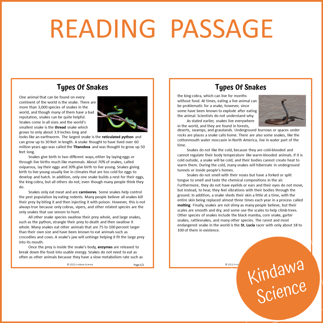 Types Of Snakes Reading Comprehension Passage and Questions | Printable PDF
