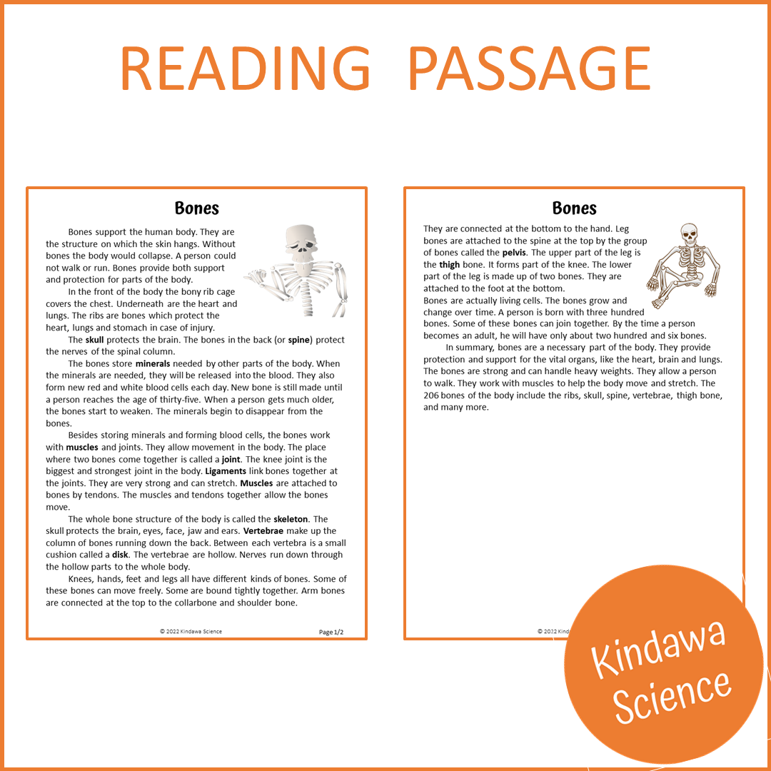 Bones Reading Comprehension Passage and Questions | Printable PDF