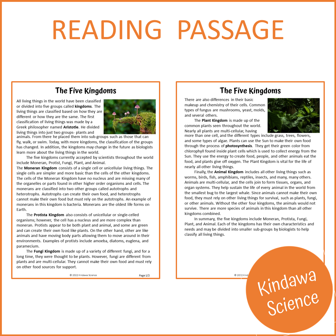 The Five Kingdoms Reading Comprehension Passage and Questions | Printable PDF