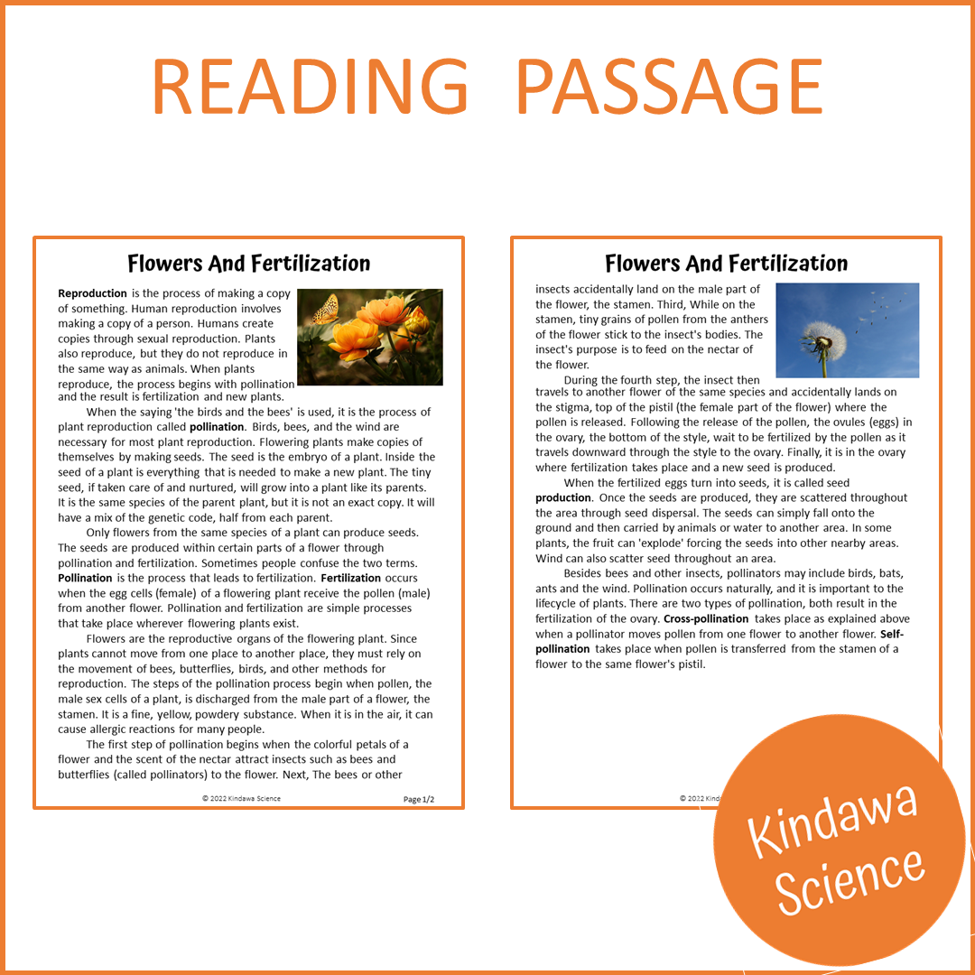 Flowers And Fertilization Reading Comprehension Passage and Questions | Printable PDF