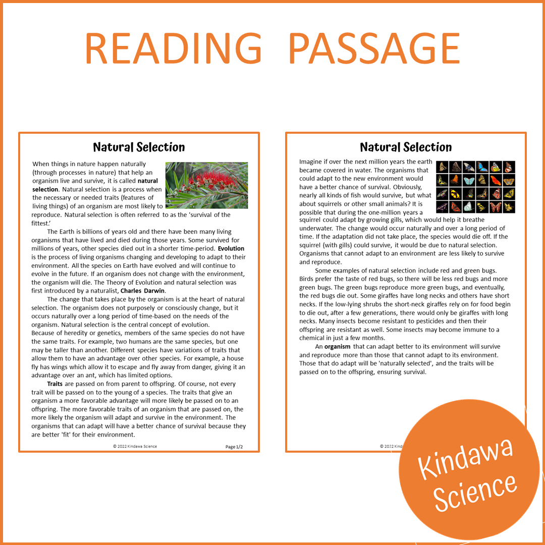 Natural Selection Reading Comprehension Passage and Questions | Printable PDF
