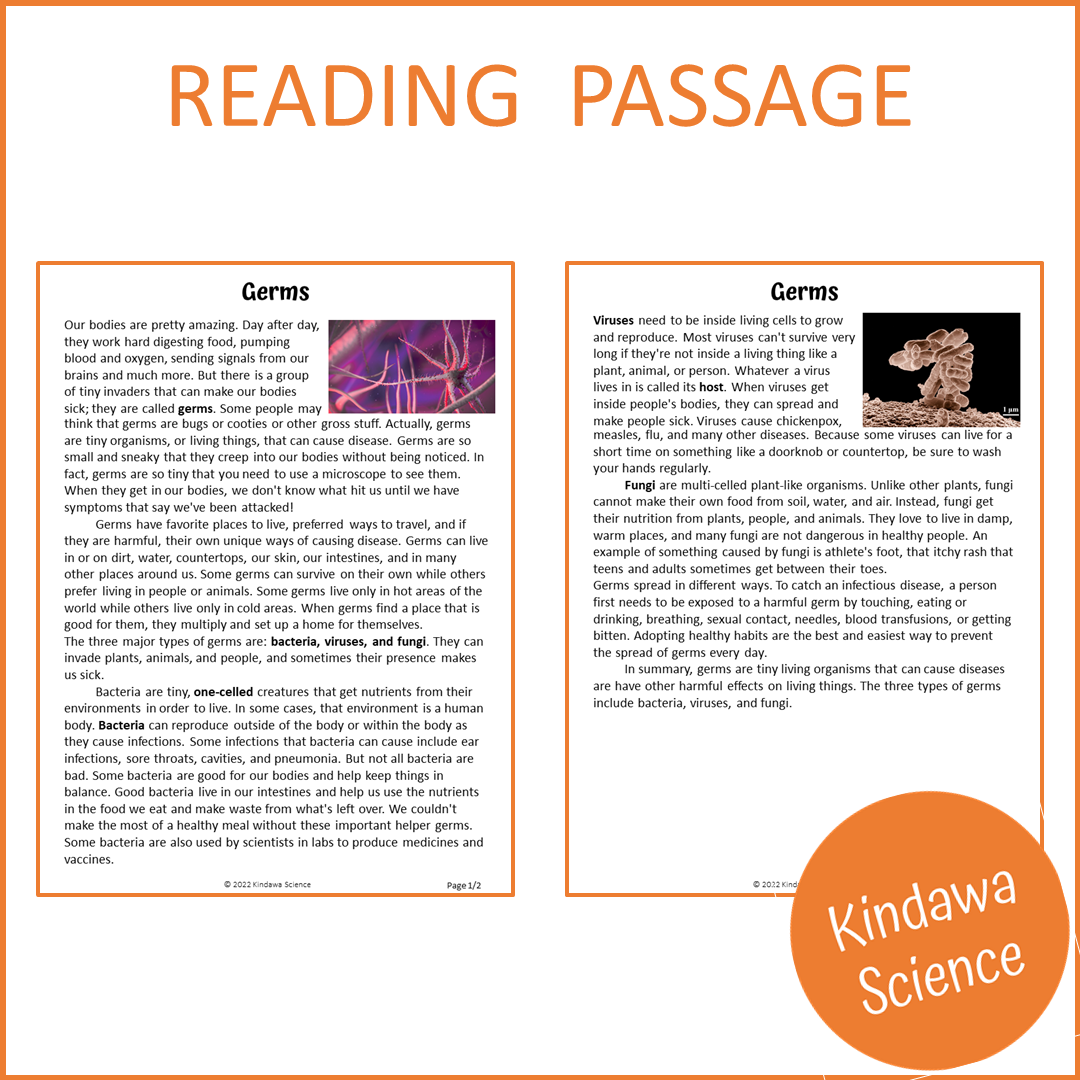 Germs Reading Comprehension Passage and Questions | Printable PDF