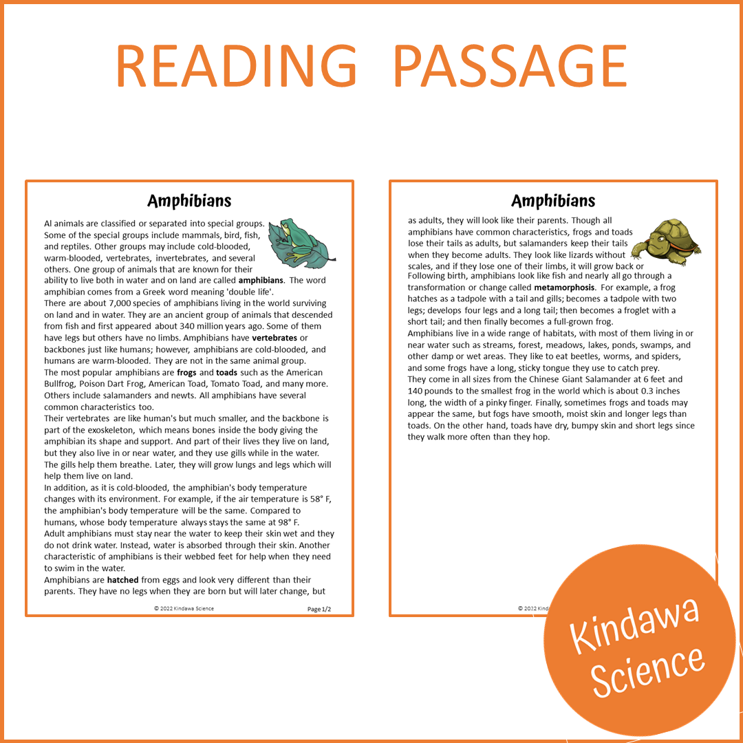 Amphibians Reading Comprehension Passage and Questions | Printable PDF