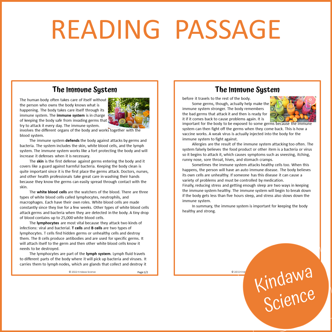 The Immune System Reading Comprehension Passage and Questions | Printable PDF