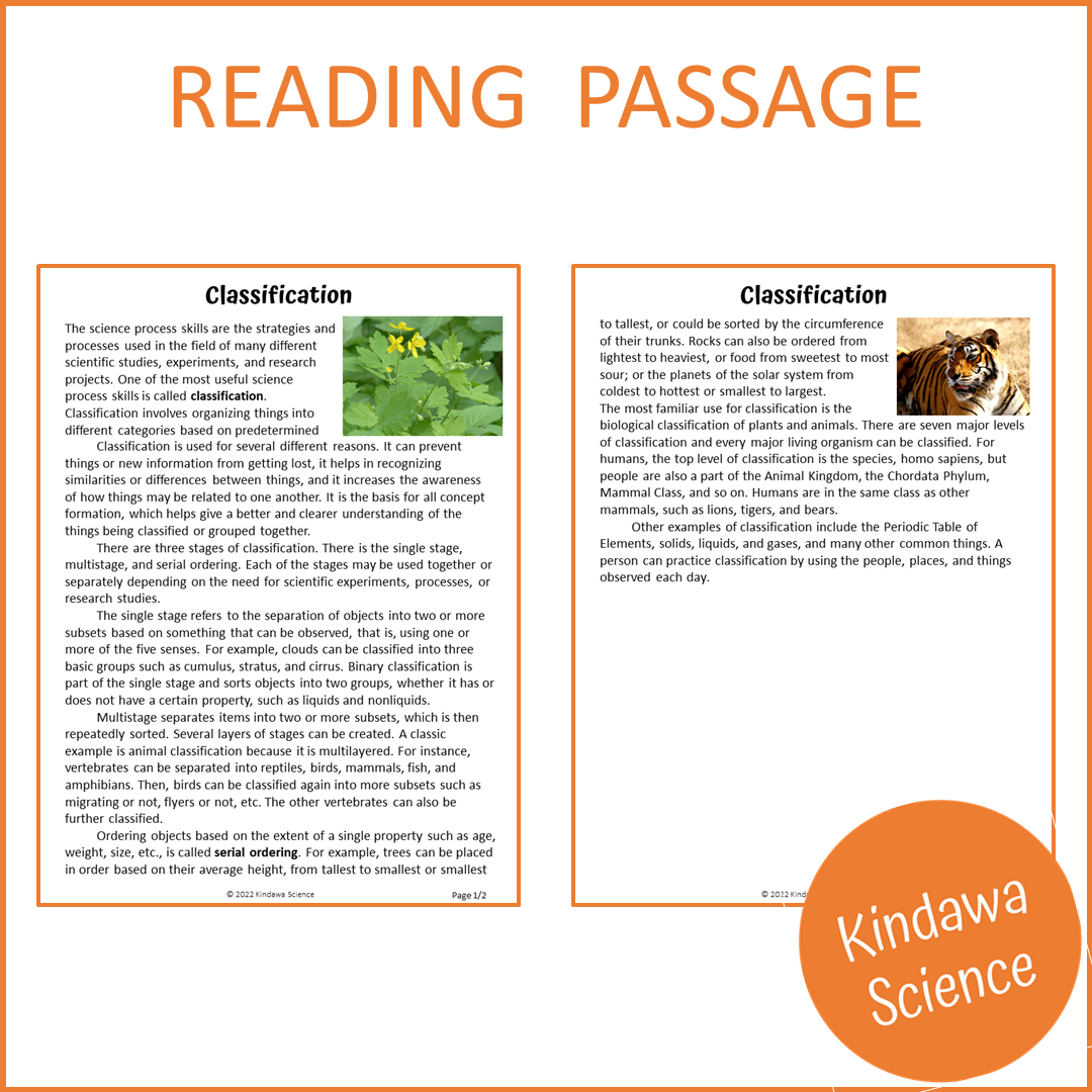Classification Reading Comprehension Passage and Questions | Printable PDF