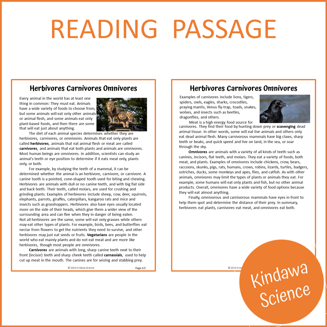 Herbivores Carnivores Omnivores Reading Comprehension Passage and Questions | Printable PDF