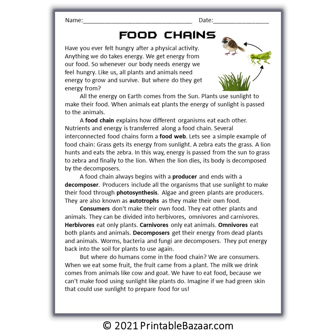 Food Chains Reading Comprehension Passage and Questions