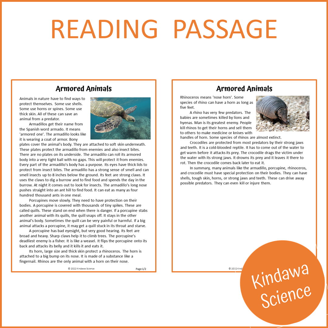Armored Animals Reading Comprehension Passage and Questions | Printable PDF