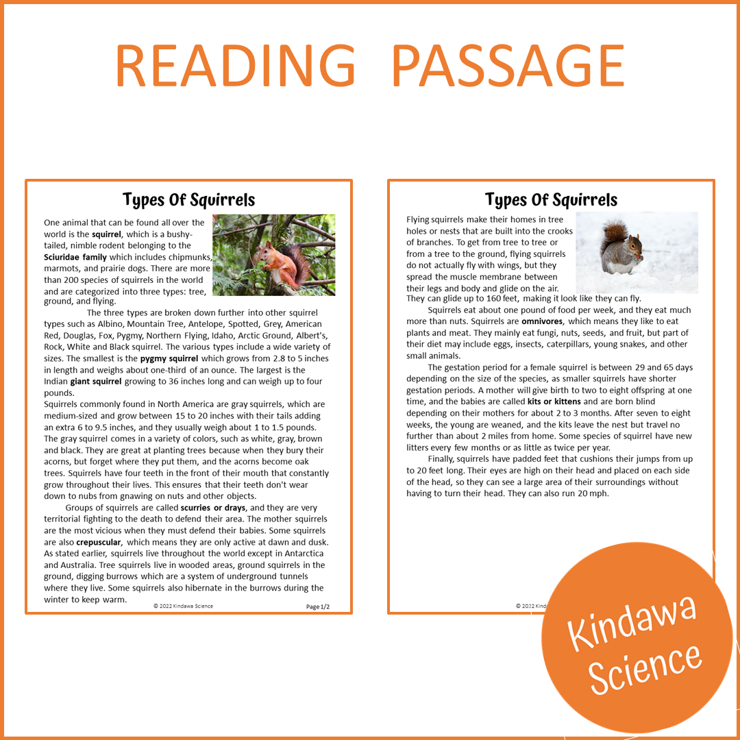 Types Of Squirrels Reading Comprehension Passage and Questions | Printable PDF