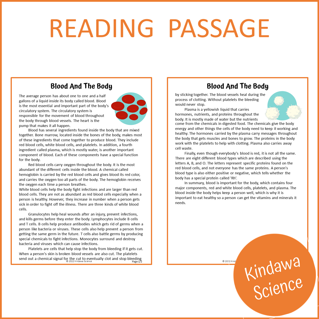 Blood And The Body Reading Comprehension Passage and Questions | Printable PDF