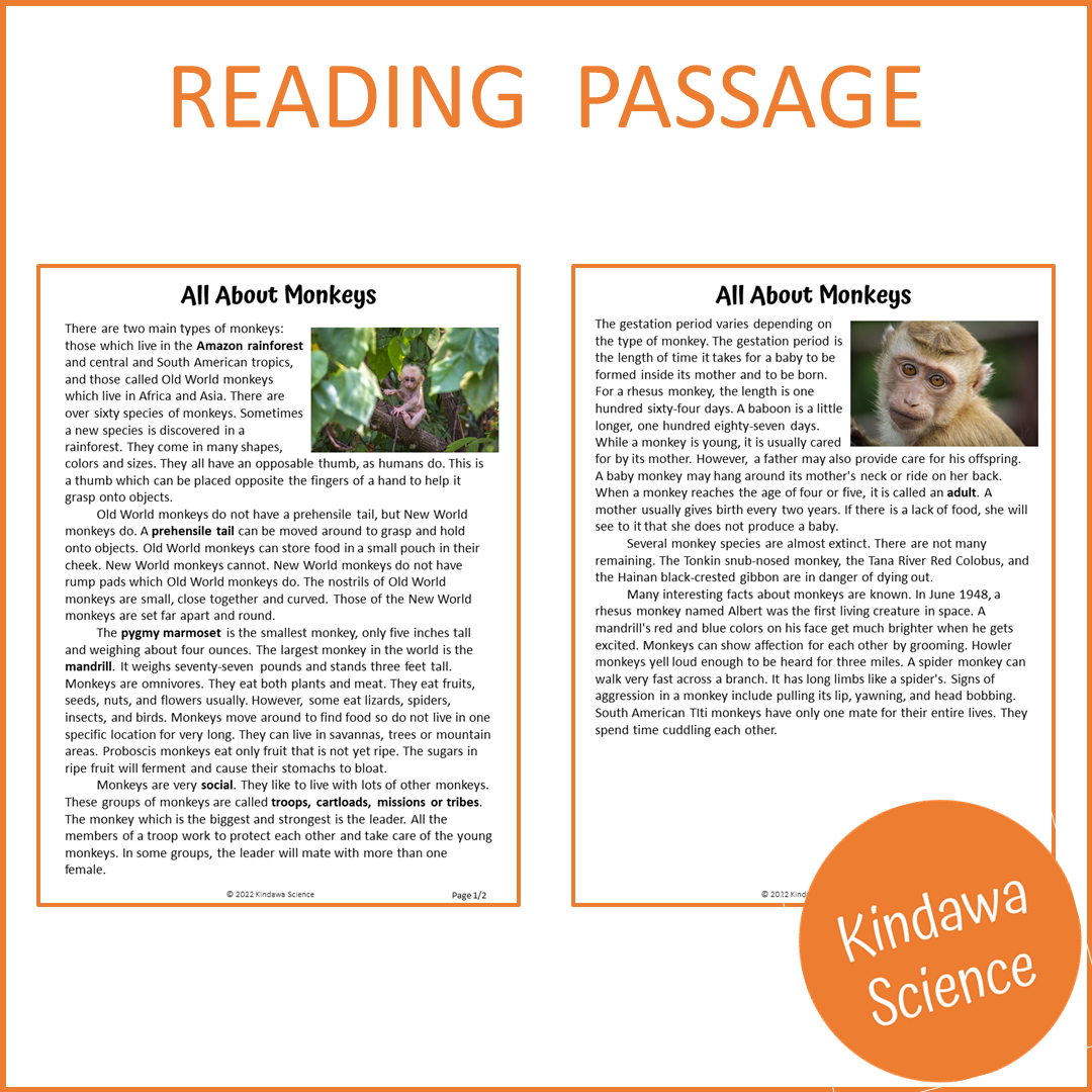 All About Monkeys Reading Comprehension Passage and Questions | Printable PDF
