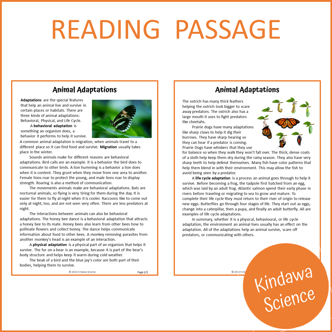 Animal Adaptations Reading Comprehension Passage and Questions | Printable PDF