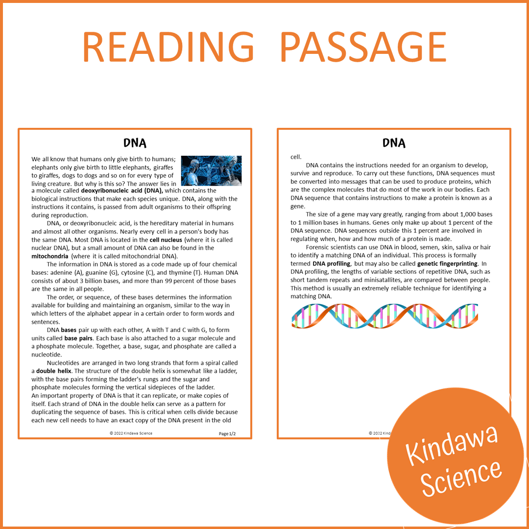 Dna Reading Comprehension Passage and Questions | Printable PDF