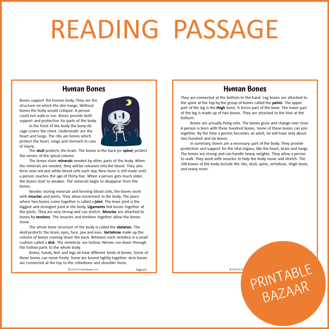 Human Bones Reading Comprehension Passage and Questions | Printable PDF