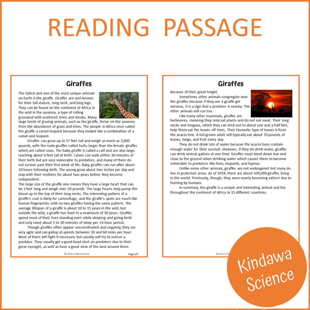 Giraffes Reading Comprehension Passage and Questions | Printable PDF