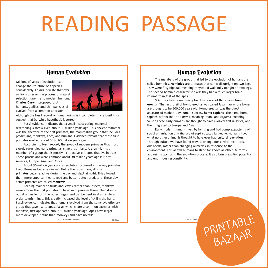 Human Evolution Reading Comprehension Passage and Questions | Printable PDF