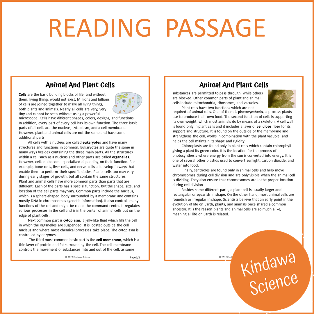Animal And Plant Cells Reading Comprehension Passage and Questions | Printable PDF