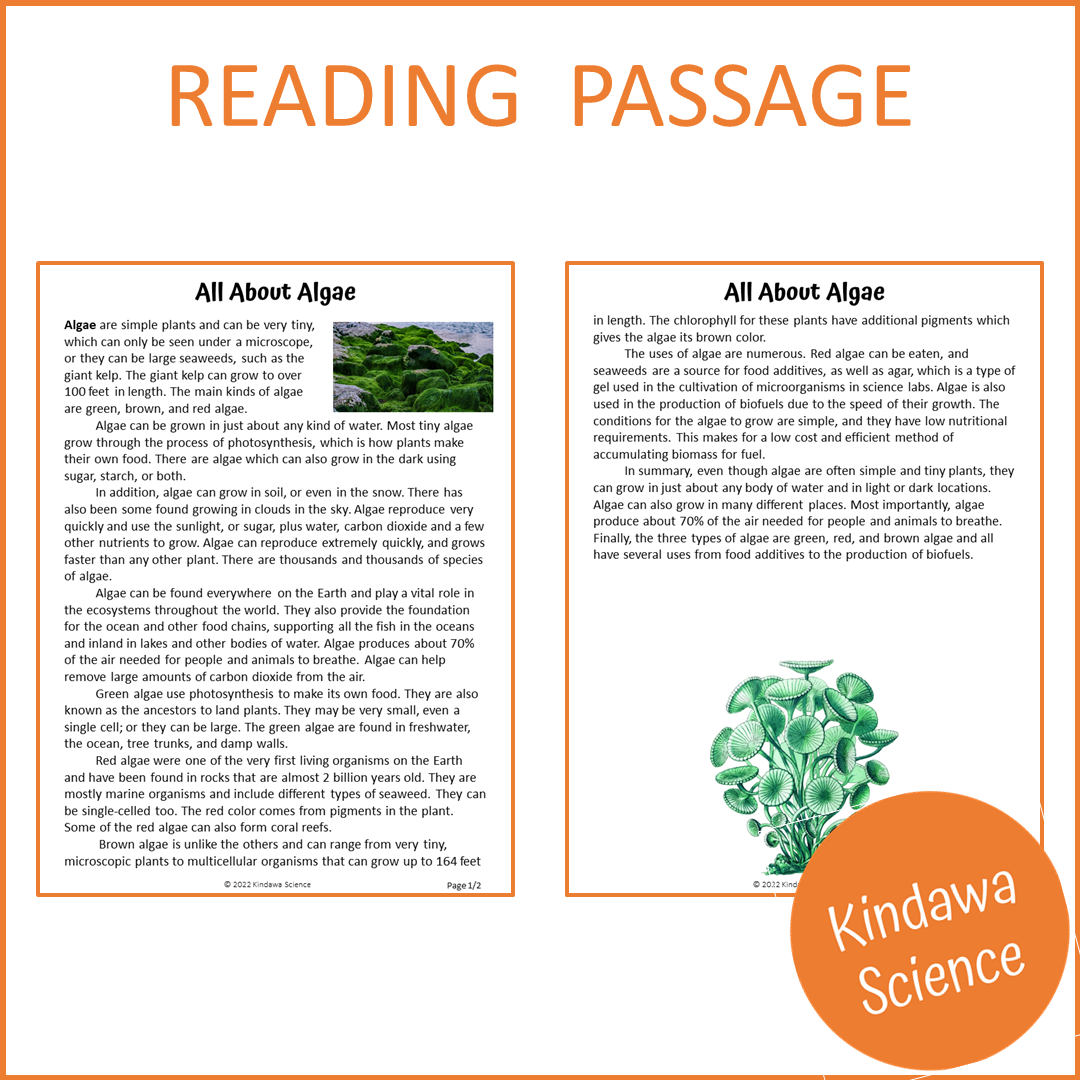All About Algae Reading Comprehension Passage and Questions | Printable PDF