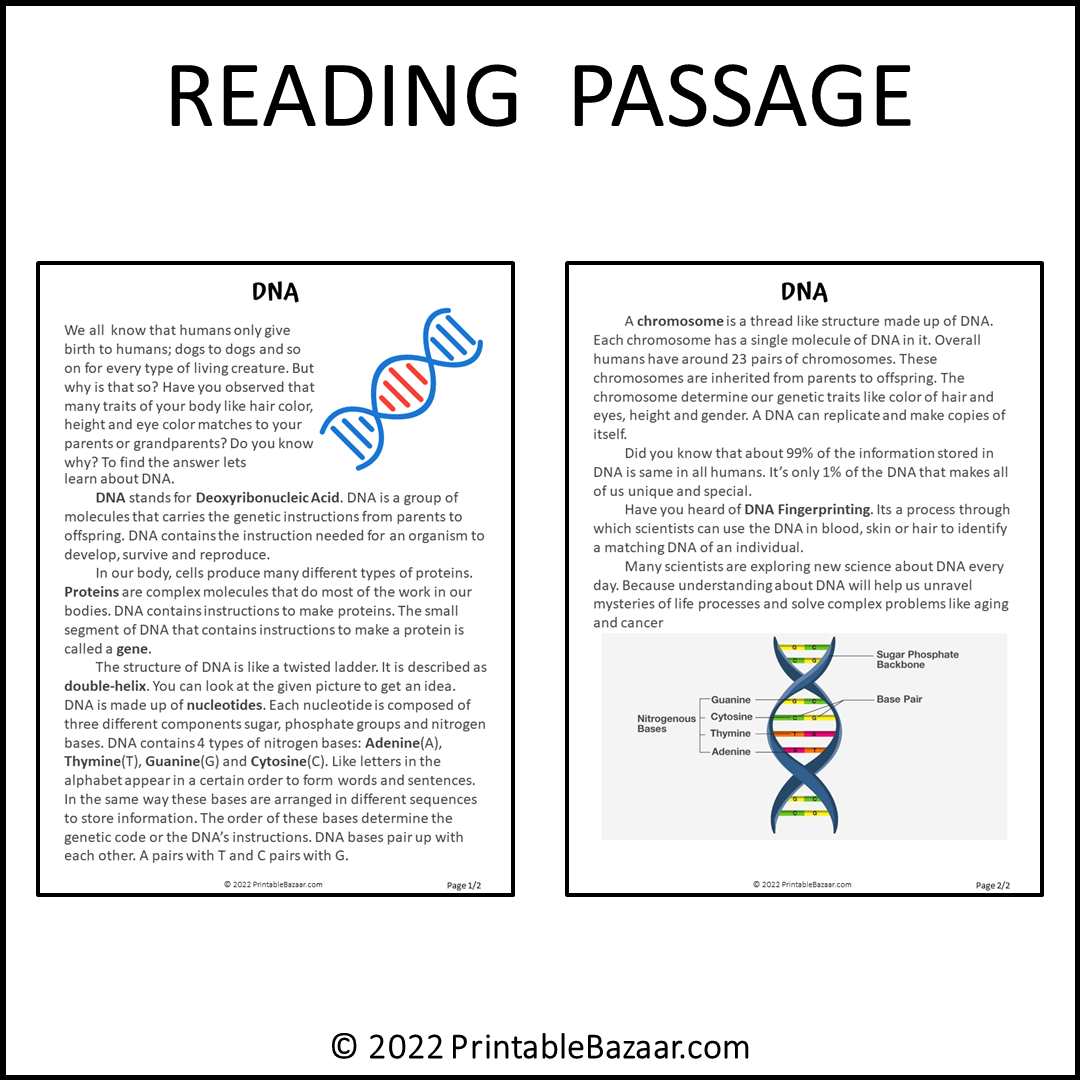 Dna Reading Comprehension Passage and Questions | Printable PDF