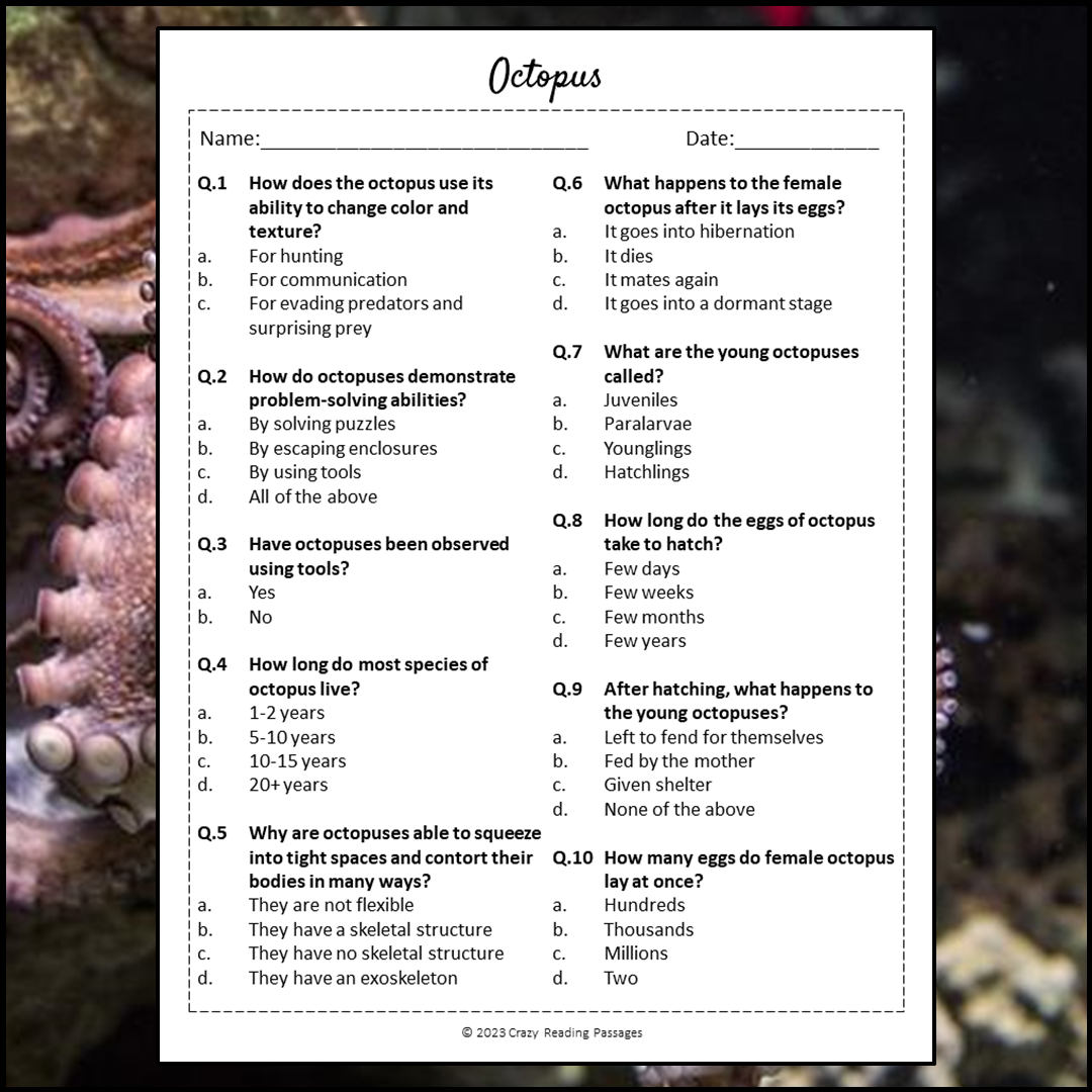Octopus Reading Comprehension Passage and Questions | Printable PDF