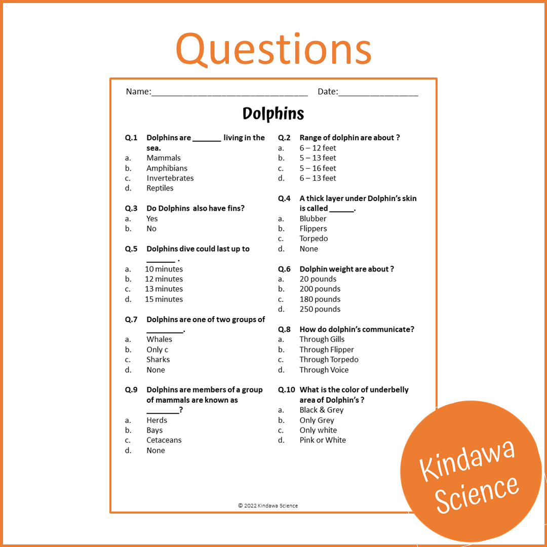 Dolphins Reading Comprehension Passage and Questions | Printable PDF