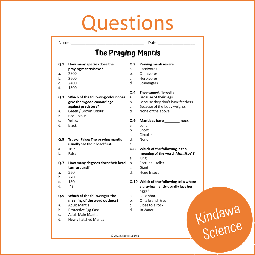 The Praying Mantis Reading Comprehension Passage and Questions | Printable PDF