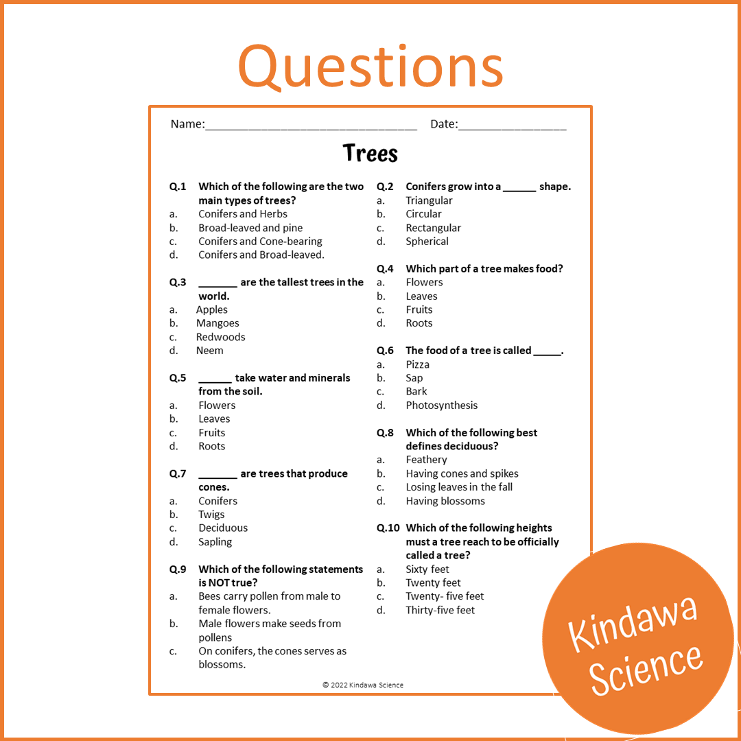 Trees Reading Comprehension Passage and Questions | Printable PDF