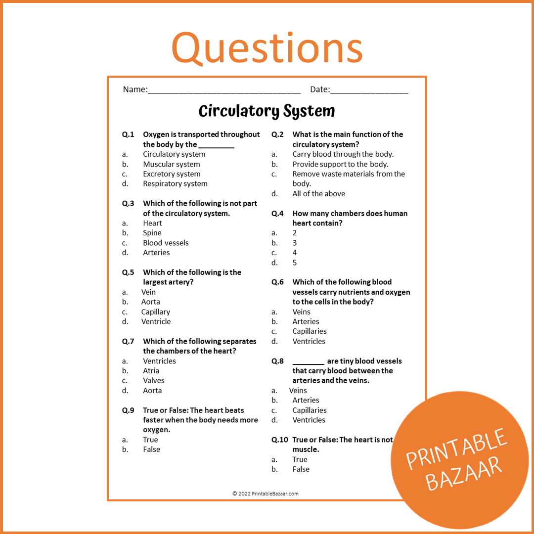 Circulatory System Reading Comprehension Passage and Questions | Printable PDF