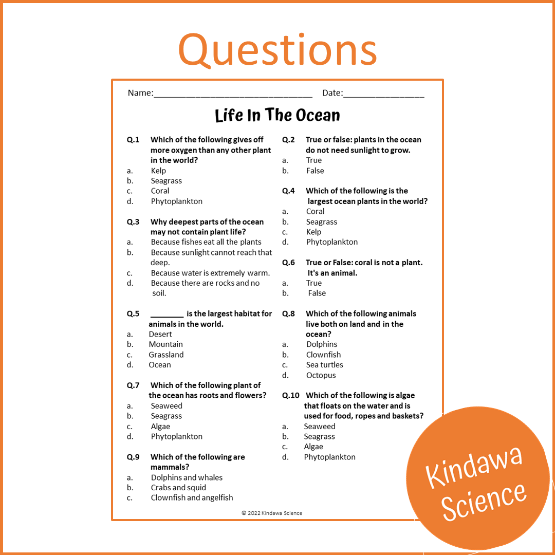 Life In The Ocean Reading Comprehension Passage and Questions | Printable PDF