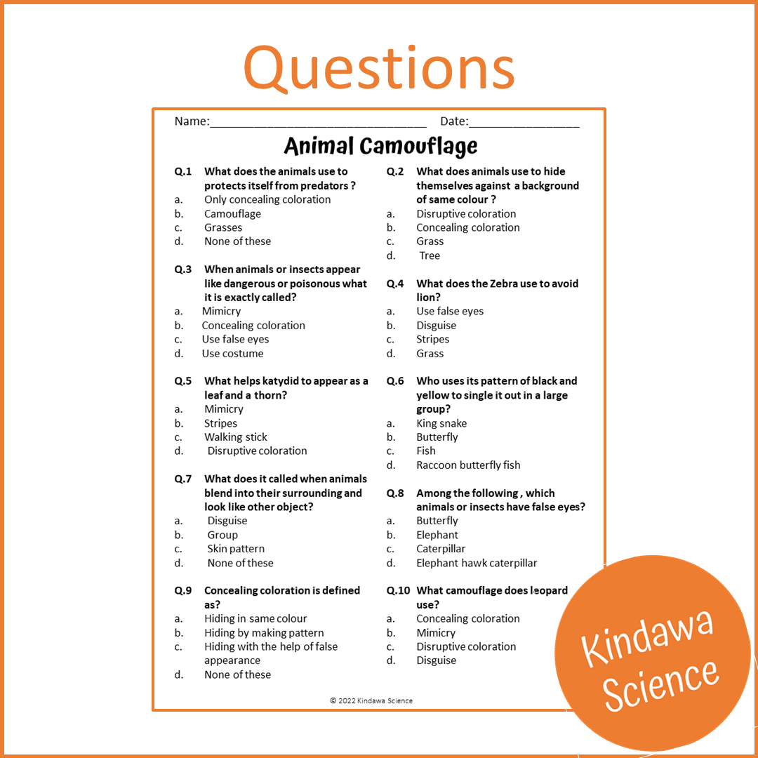 Animal Camouflage Reading Comprehension Passage and Questions | Printable PDF