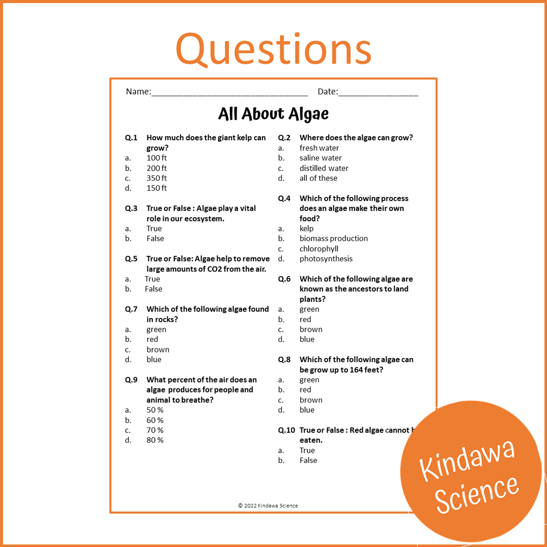 All About Algae Reading Comprehension Passage and Questions | Printable PDF