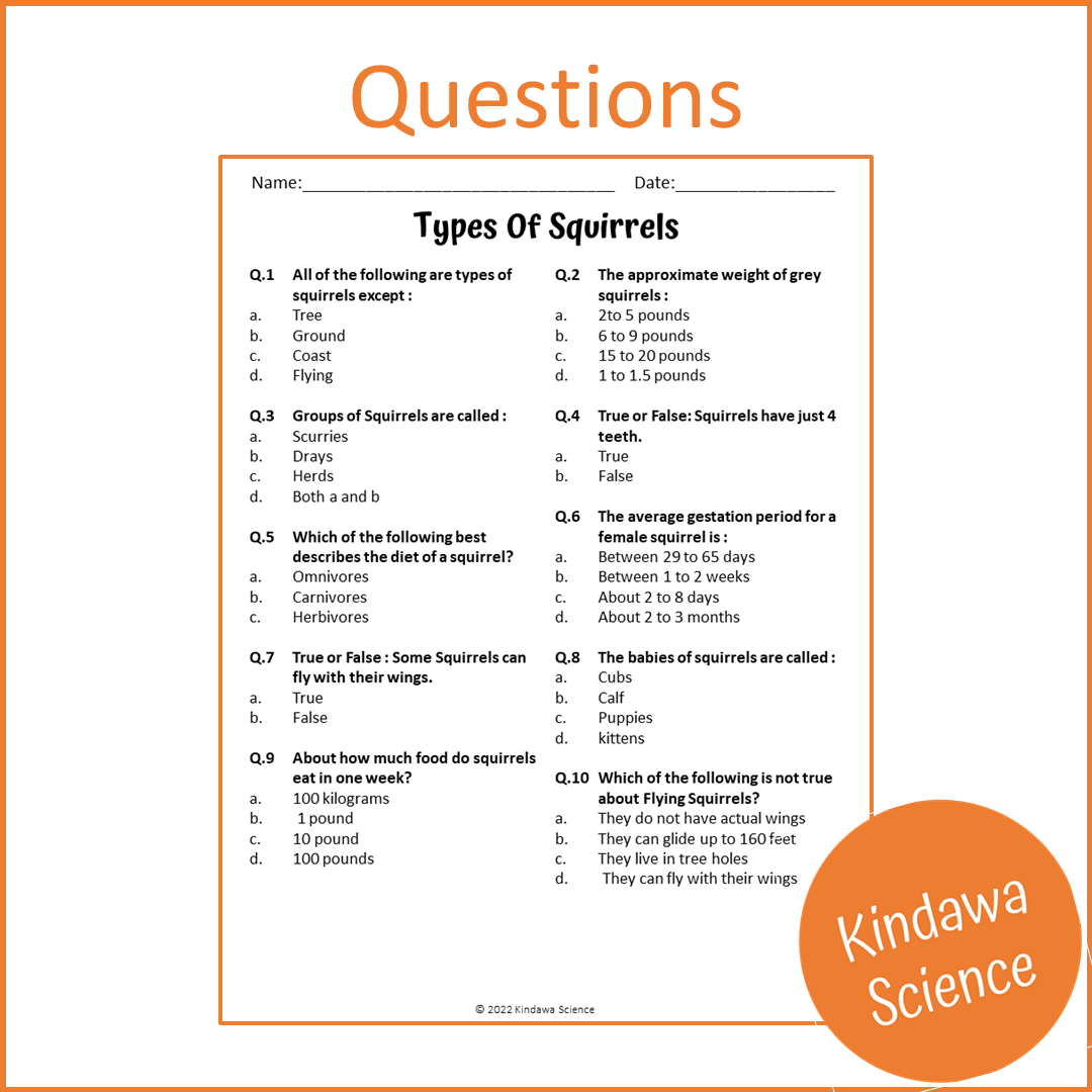 Types Of Squirrels Reading Comprehension Passage and Questions | Printable PDF