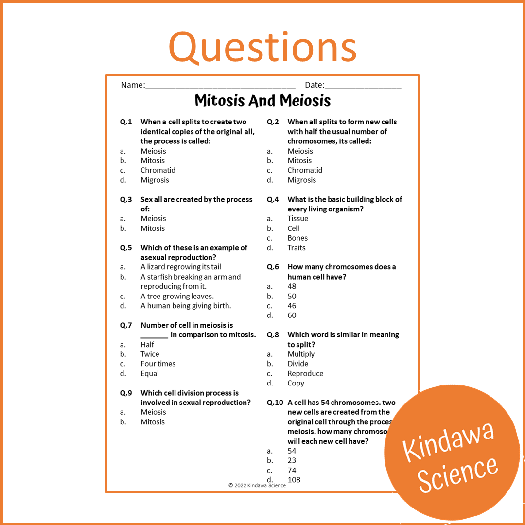 Mitosis And Meiosis Reading Comprehension Passage and Questions | Printable PDF