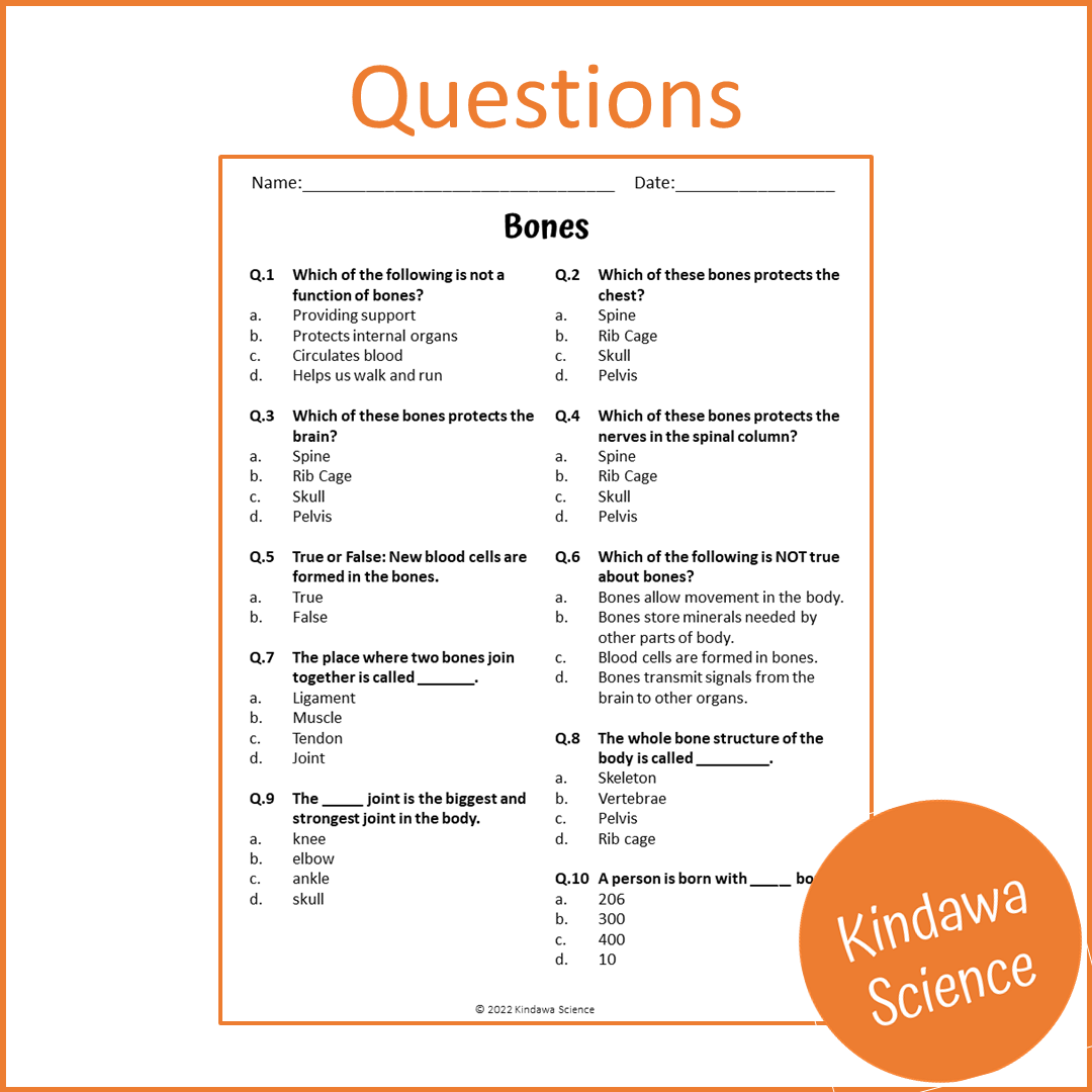 Bones Reading Comprehension Passage and Questions | Printable PDF