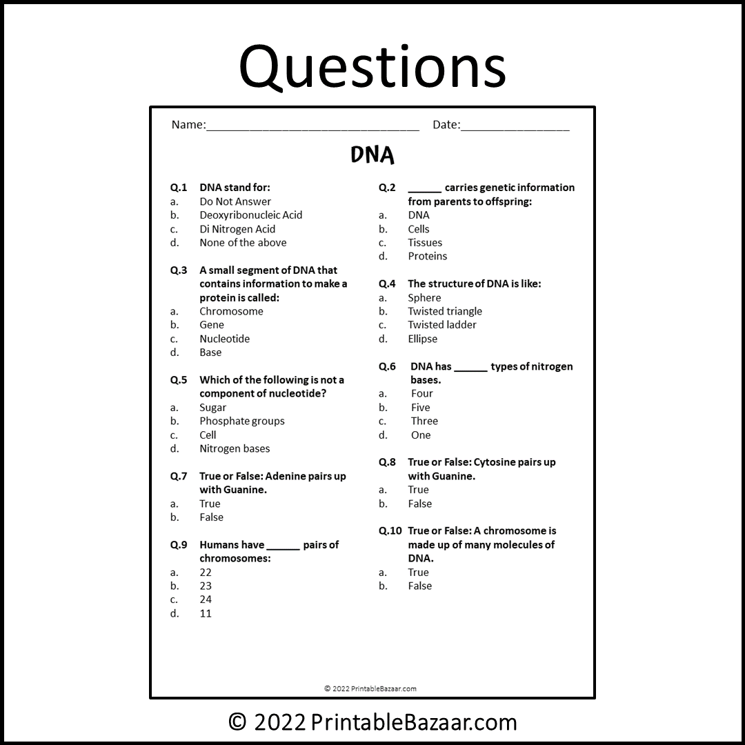 Dna Reading Comprehension Passage and Questions | Printable PDF