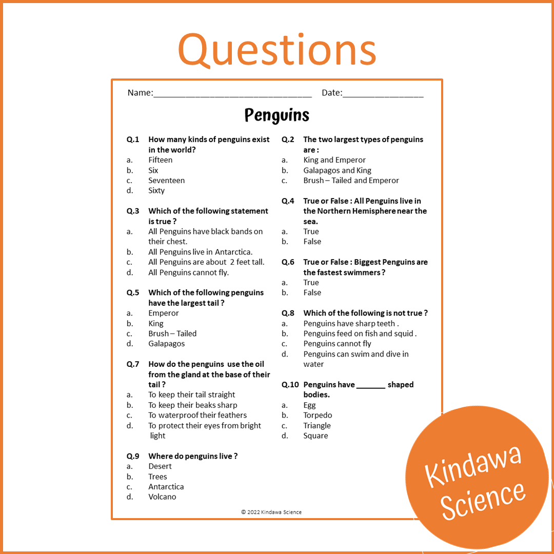 Penguins Reading Comprehension Passage and Questions | Printable PDF