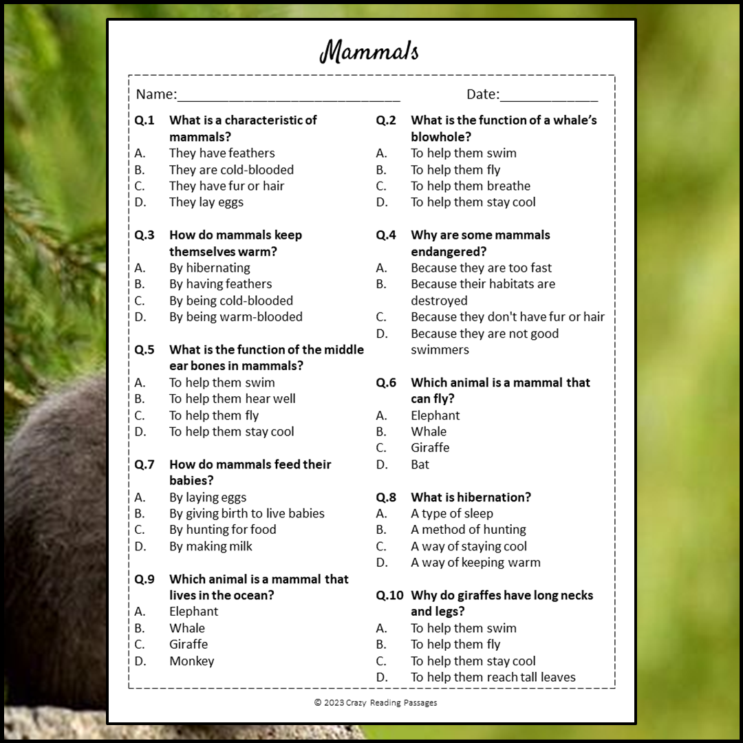 Mammals Reading Comprehension Passage and Questions | Printable PDF