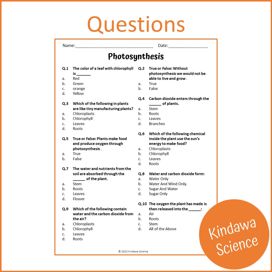 Photosynthesis Reading Comprehension Passage and Questions | Printable PDF