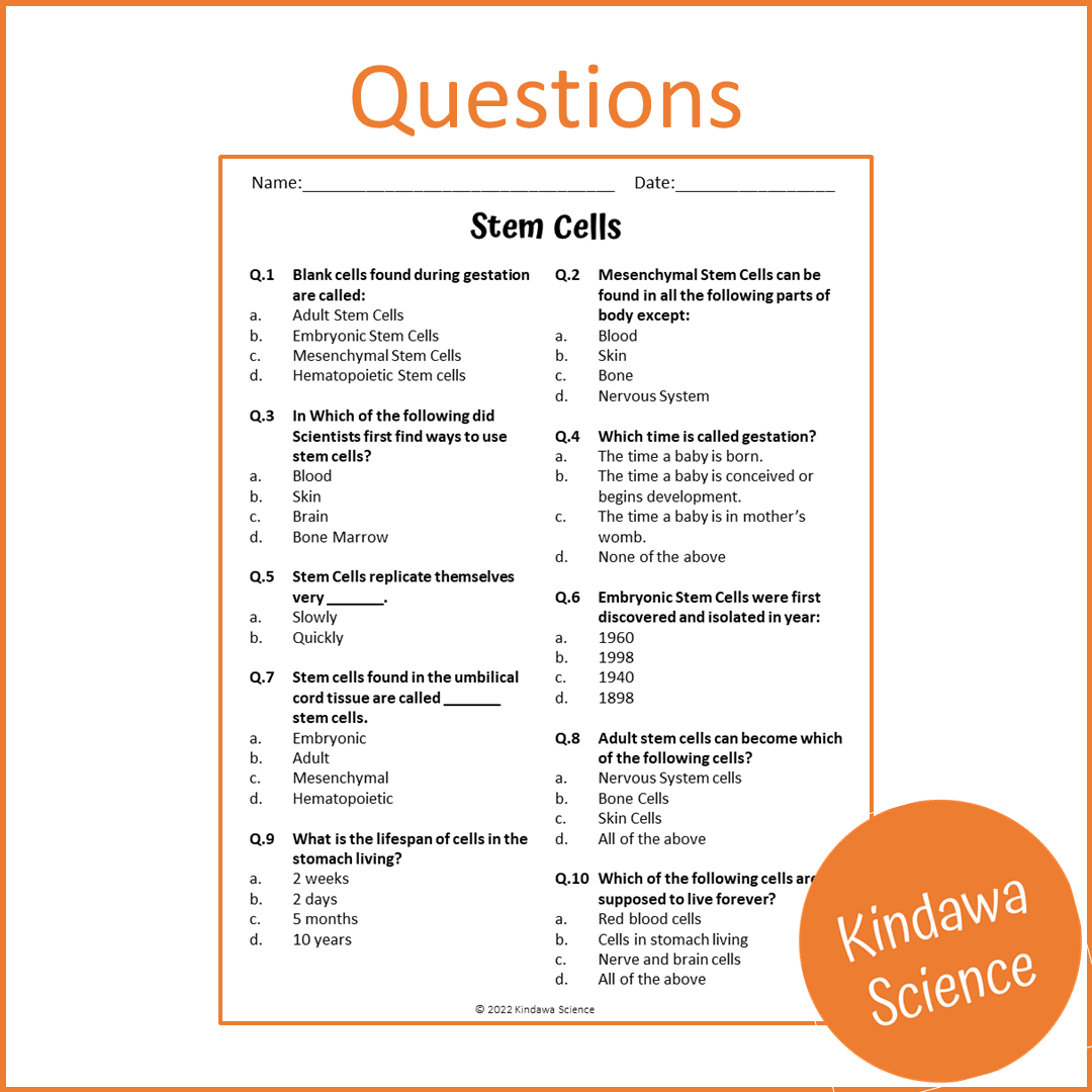 Stem Cells Reading Comprehension Passage and Questions | Printable PDF