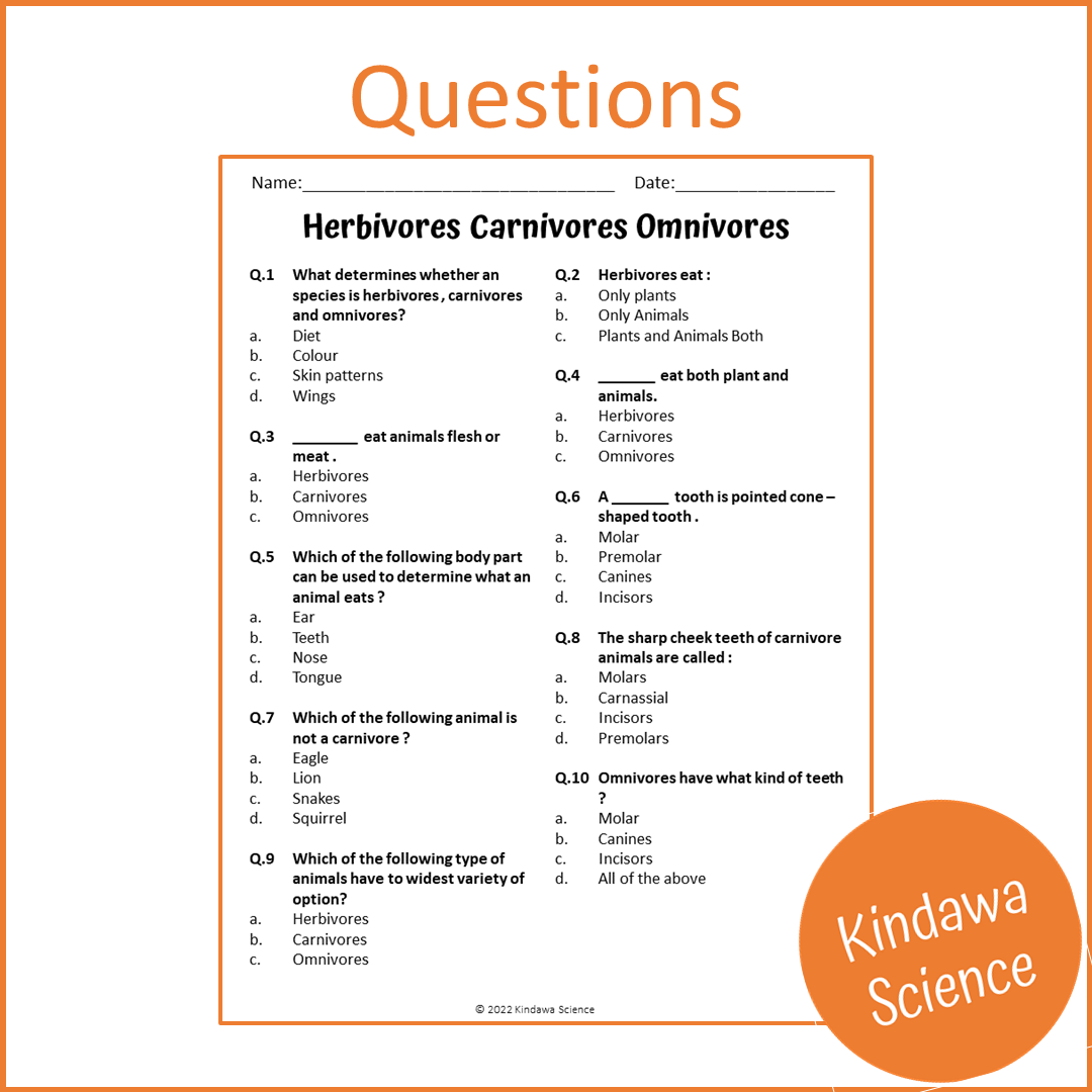Herbivores Carnivores Omnivores Reading Comprehension Passage and Questions | Printable PDF