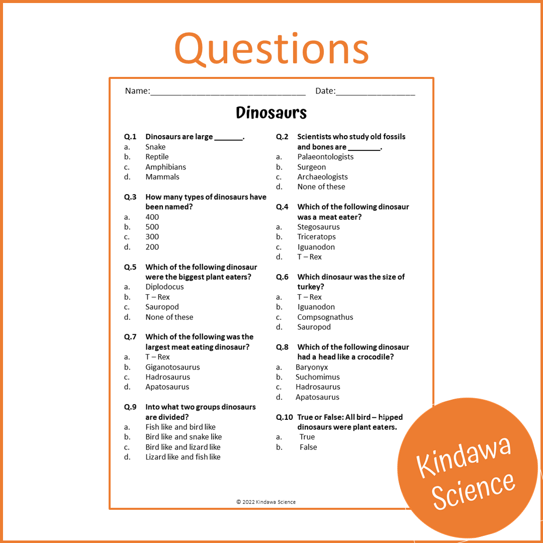 Dinosaurs Reading Comprehension Passage and Questions | Printable PDF