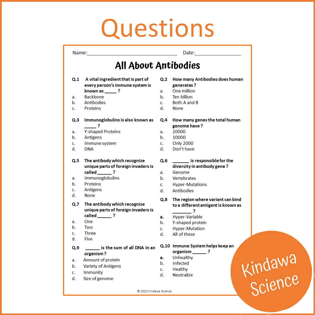 All About Antibodies Reading Comprehension Passage and Questions | Printable PDF