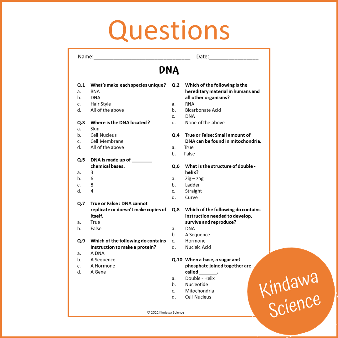 Dna Reading Comprehension Passage and Questions | Printable PDF