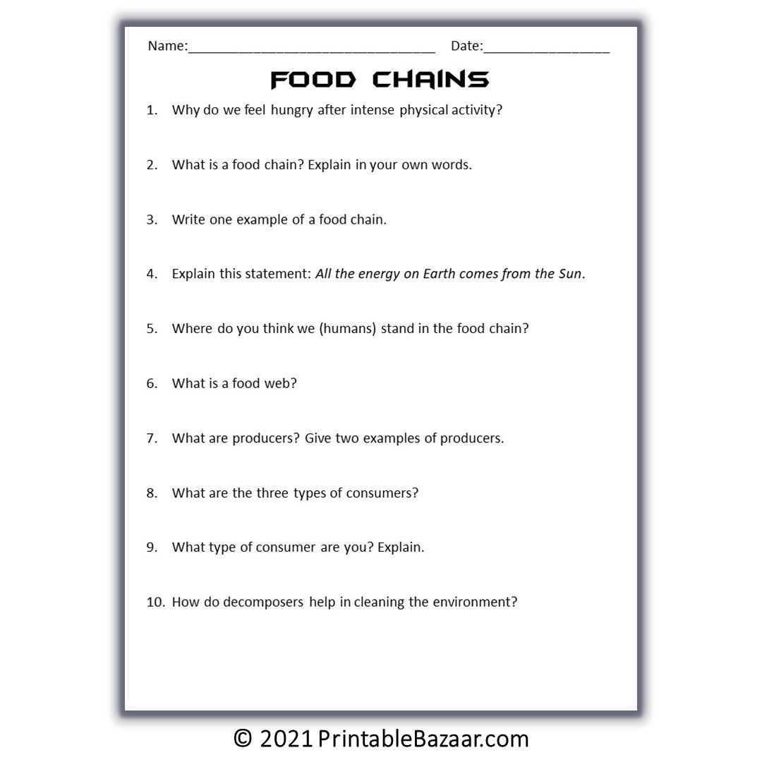 Food Chains Reading Comprehension Passage and Questions