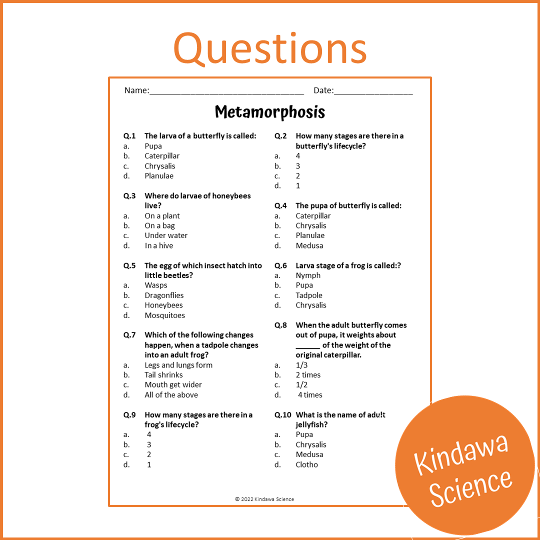 Metamorphosis Reading Comprehension Passage and Questions | Printable PDF