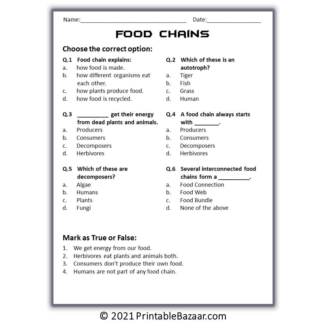 Food Chains Reading Comprehension Passage and Questions